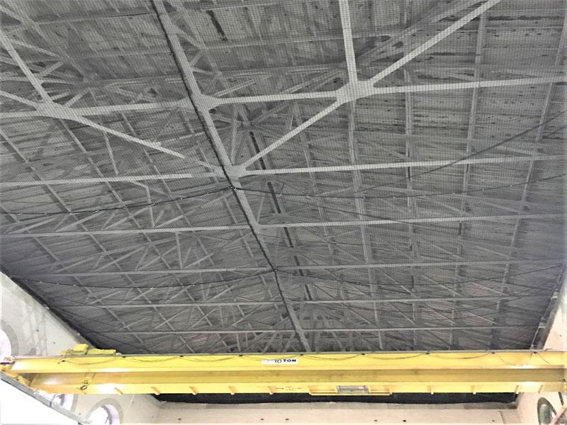 black netting,Leon De Oro,8888332634